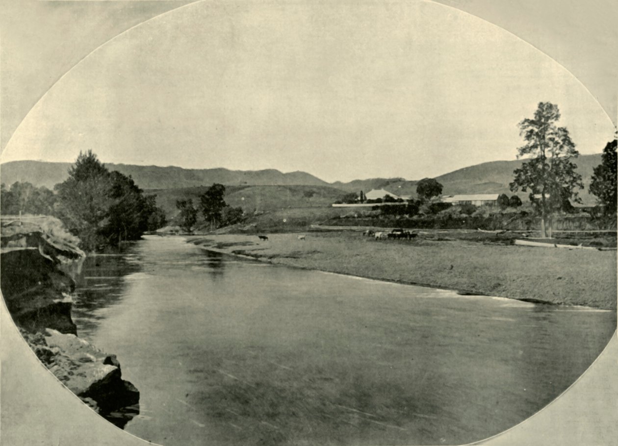 A New South Wales Station Homestead, 1901. od Unbekannt