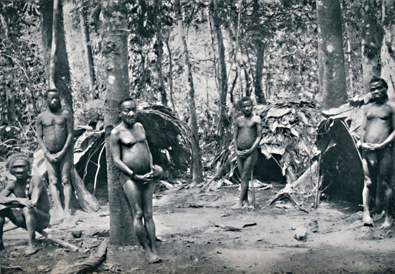 Pygmejská vesnice, povodí severovýchodního Konga, 1912 od Unbekannt