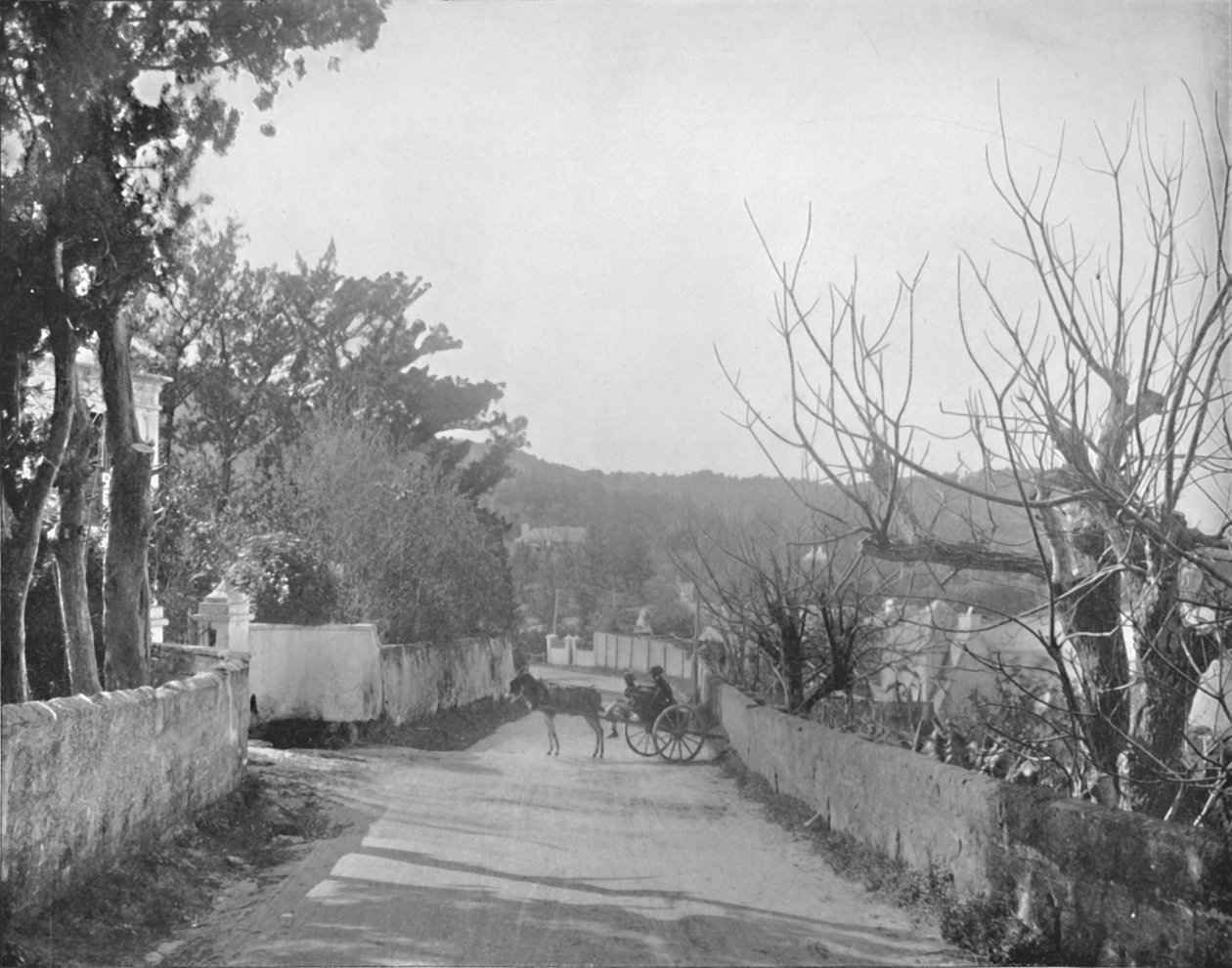 Cesta v Port Royal, Bermudy, 19. století od Unbekannt