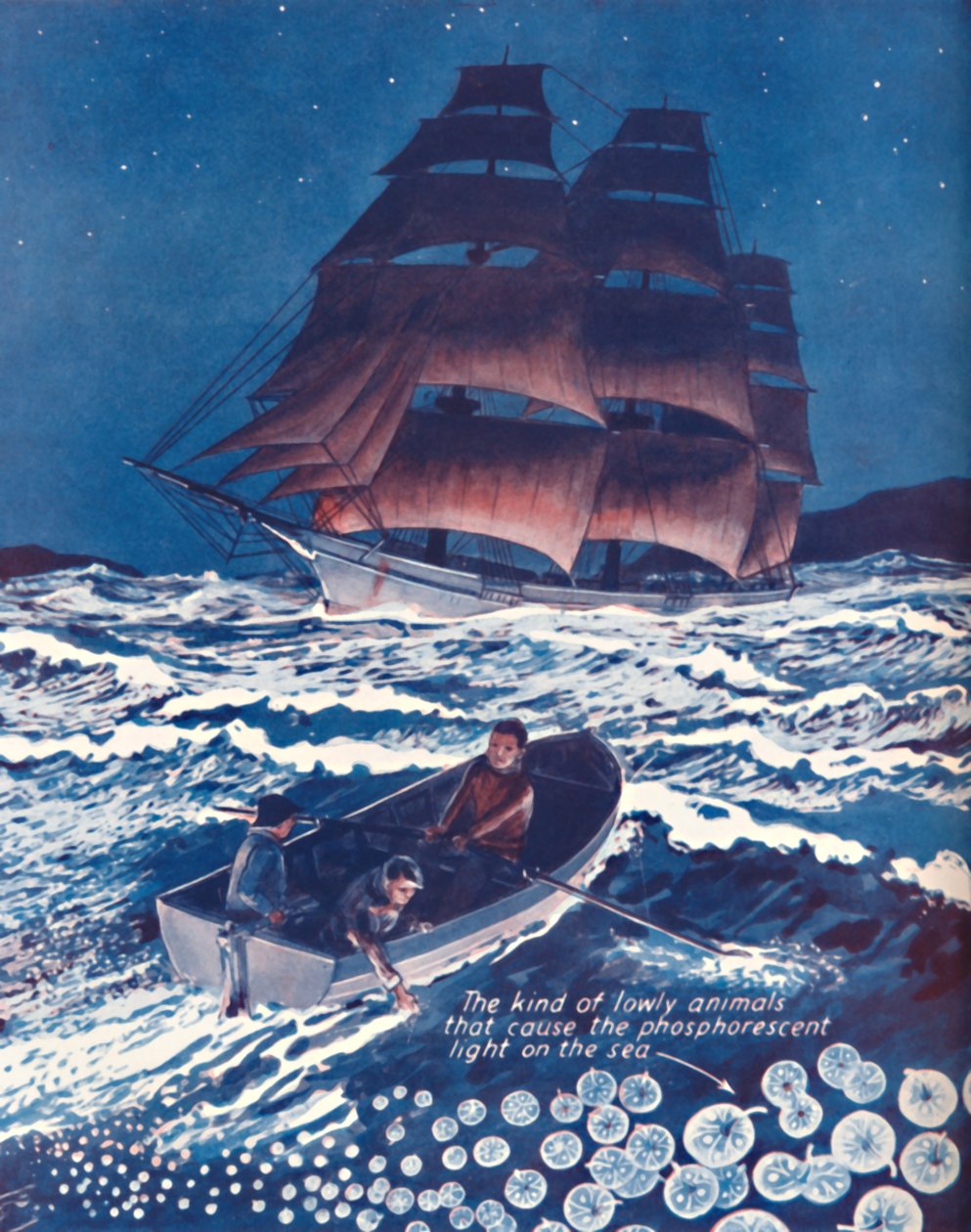 Moře osvětlené živými nočními světly, 1935 od Unbekannt
