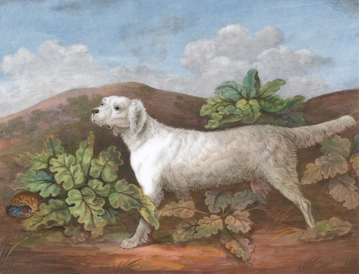Setter: Tváří v tvář doleva, s koroptev ukrývající se mezi lopuchy nalevo, ca. 1805. od Unbekannt