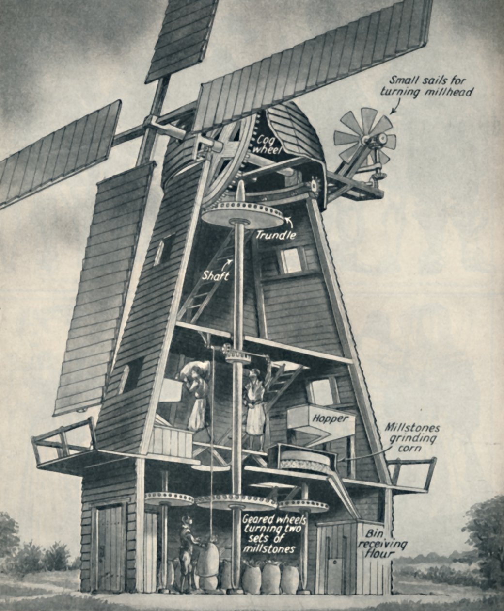 Smock Windmill za Stuart Days, c1934 od Unbekannt