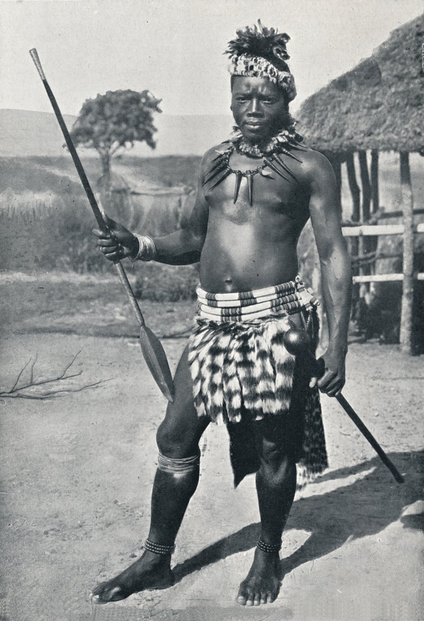 Zuluský náčelník, 1902 od Unbekannt
