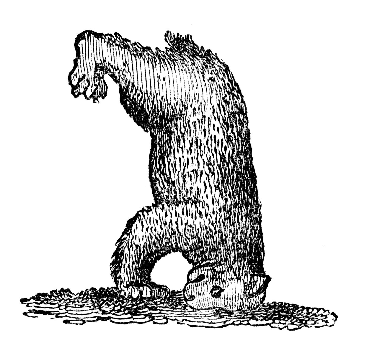 Medvěd stojící na hlavě, 14. století, 1833 od Unbekannt