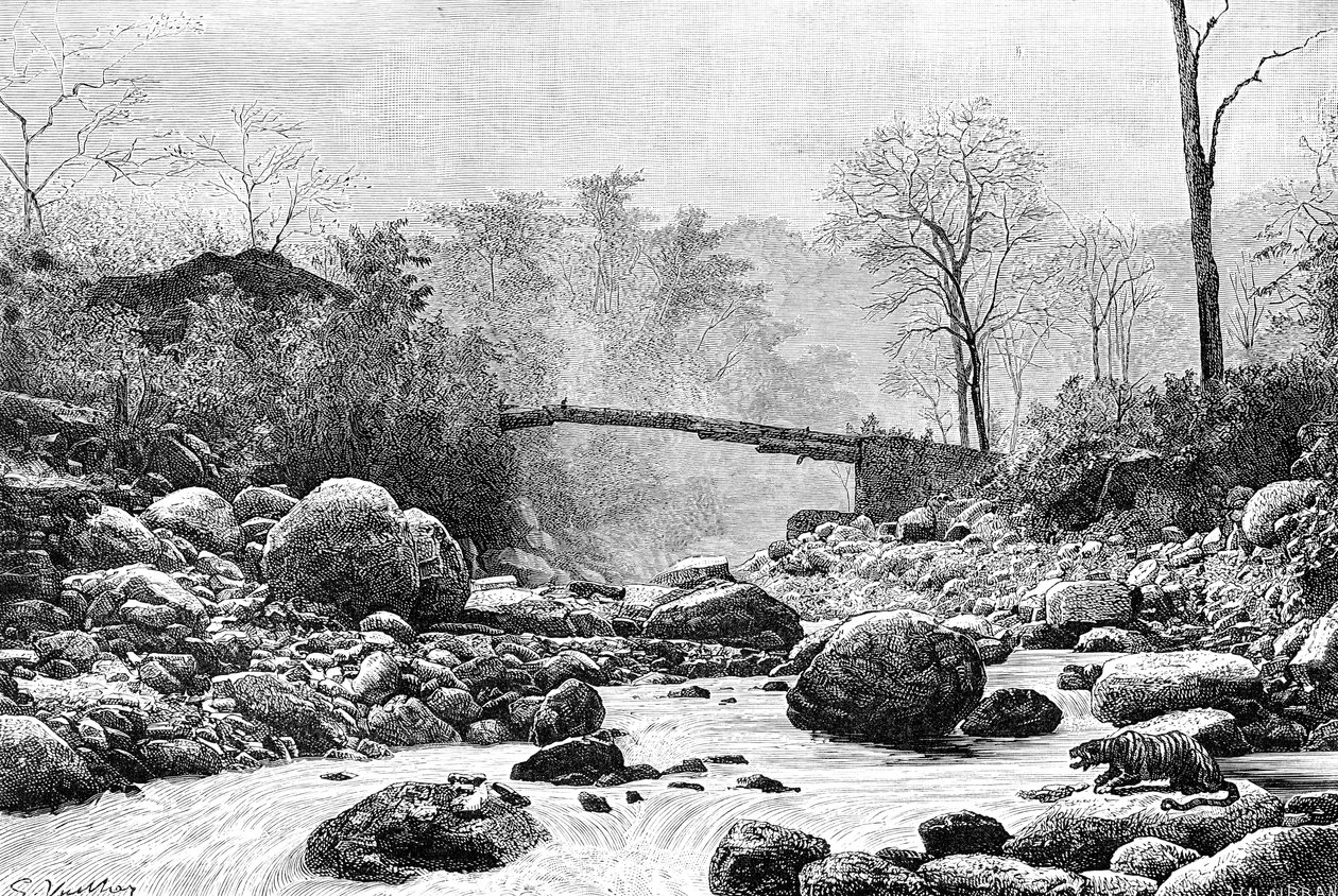 Most přes Rangit, přítok řeky Teesta, Indie, 1895 od Unbekannt