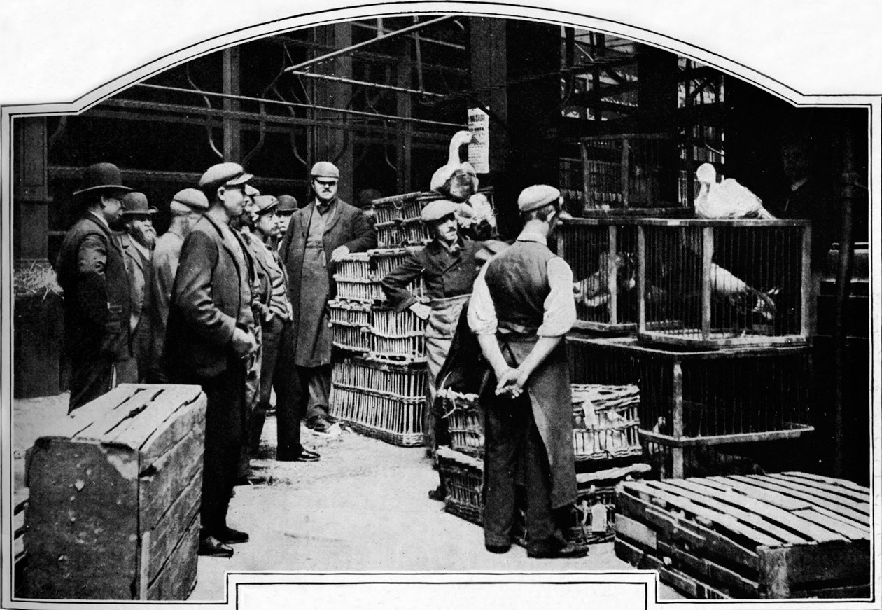 Roh Leadenhall Market, Londýn, c1901 1901 od Unbekannt