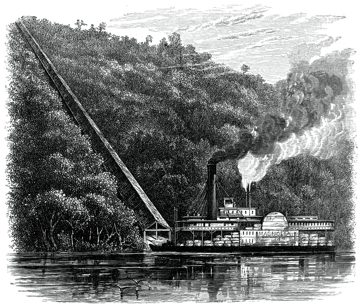 Skluz na bavlnu, Spojené státy americké, c1880 od Unbekannt