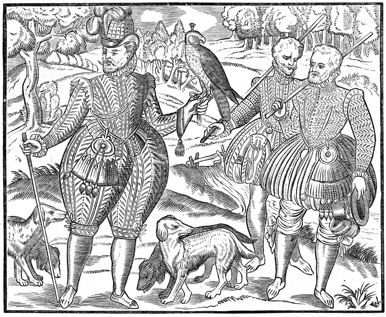 Sokolník, 1611 od Unbekannt