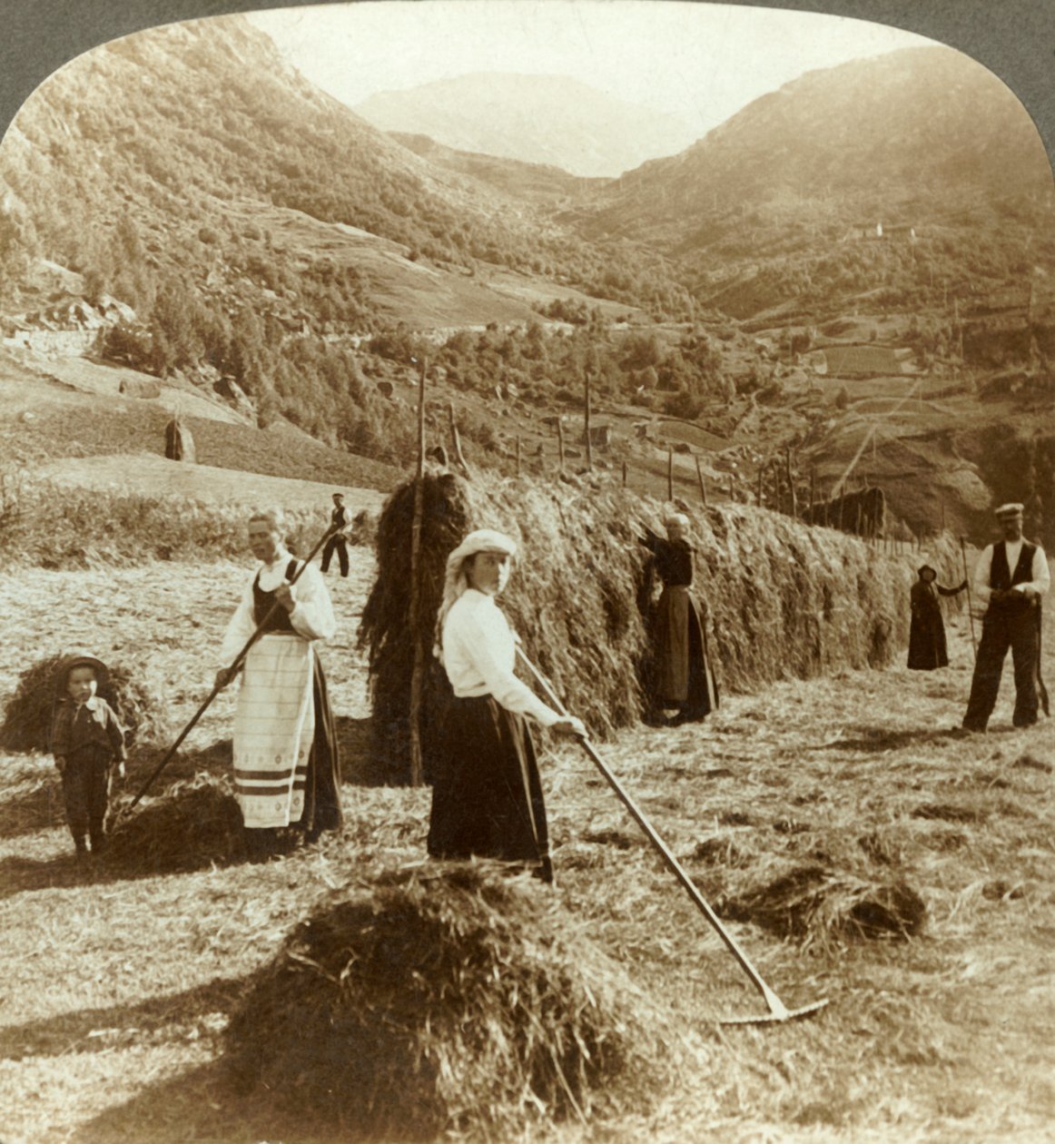 Farmářská rodina, která vyrábí seno na slunném poli mezi horami, Roldal, Norsko, c1905. od Unbekannt