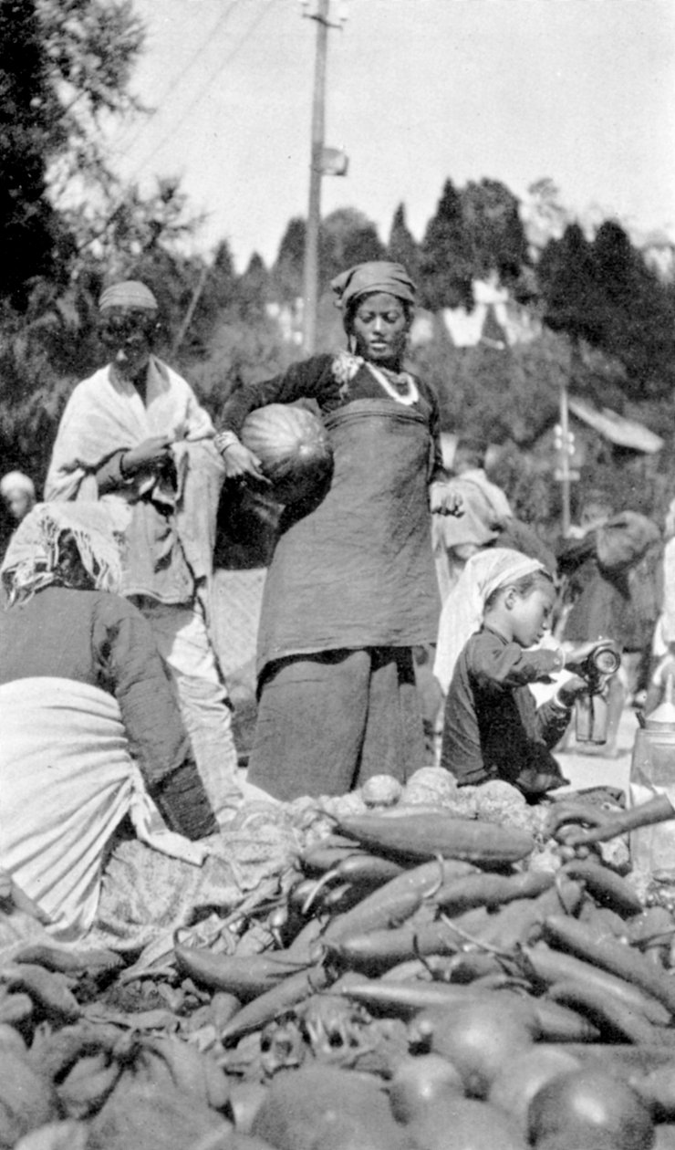 Potravinový trh v Darjeeling, Západní Bengálsko, Indie, c1910 od Unbekannt