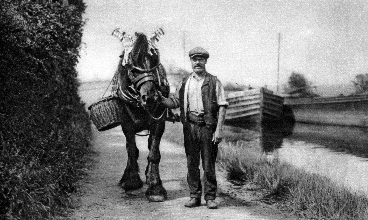 Kůň táhne člun na kanálu, 1926-1927 od Unbekannt
