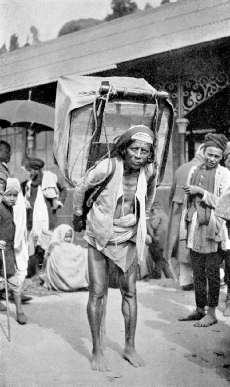 Dělník nesoucí čaj, Darjeeling, Západní Bengálsko, Indie, c1910 od Unbekannt