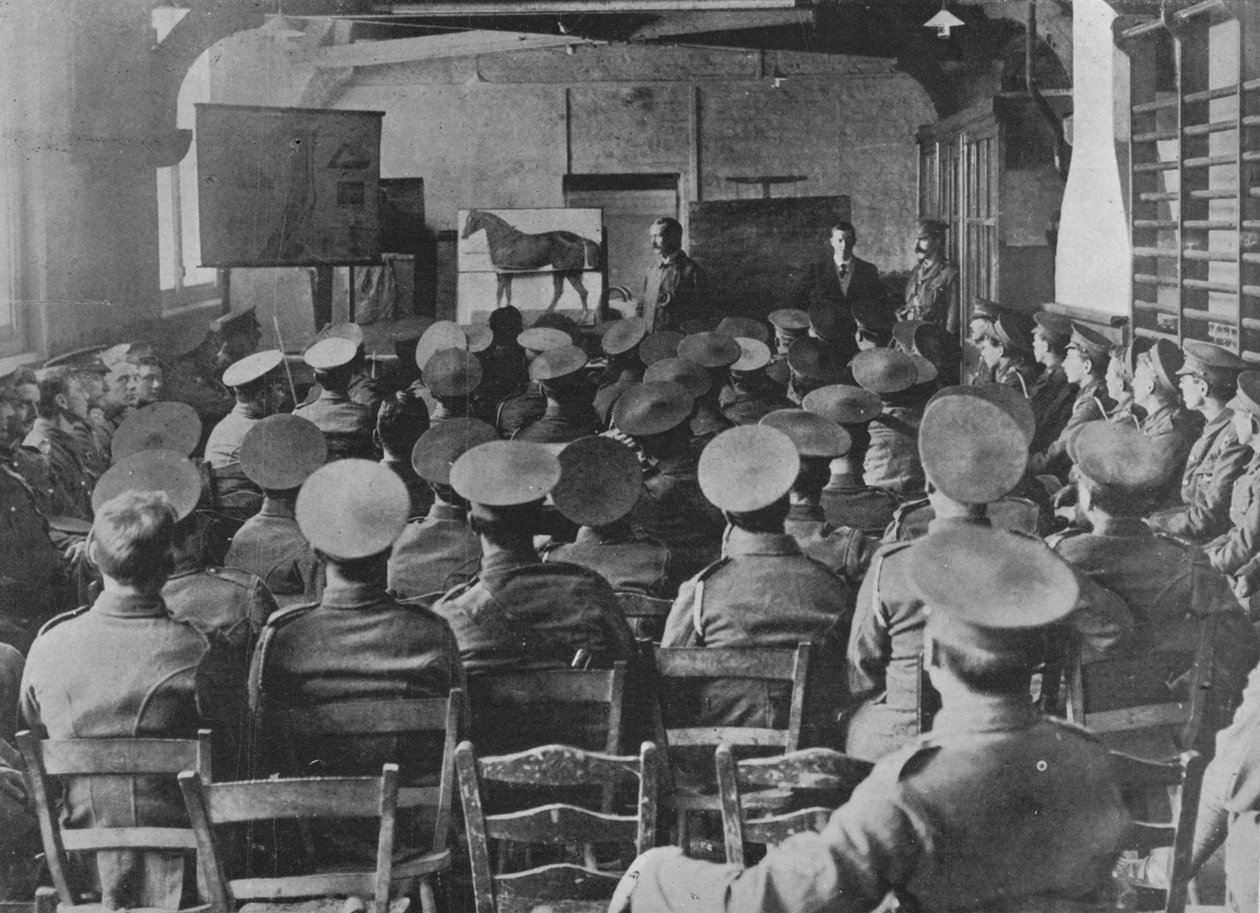 Přednáška o anatomii koně, 1915 od Unbekannt
