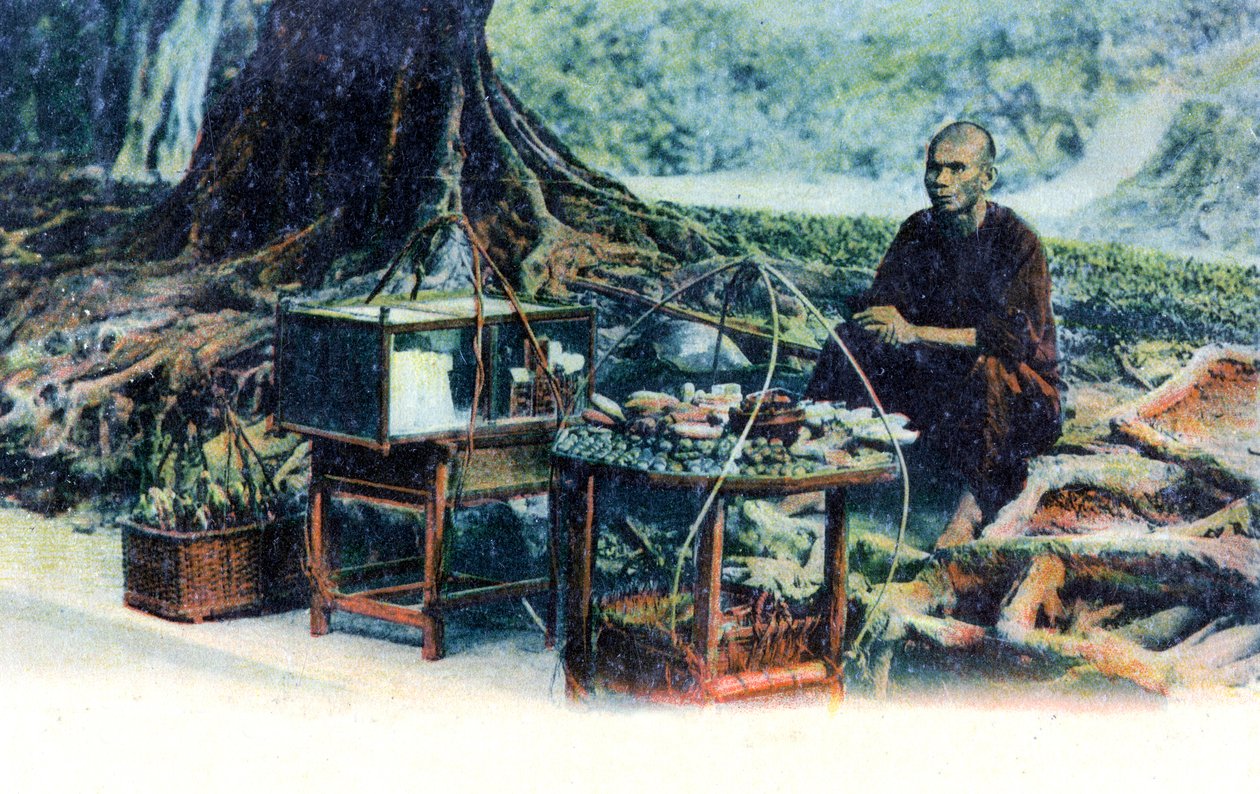 Muž prodávající ovoce pod stromem, Hong Kong, Čína, 1900 od Unbekannt