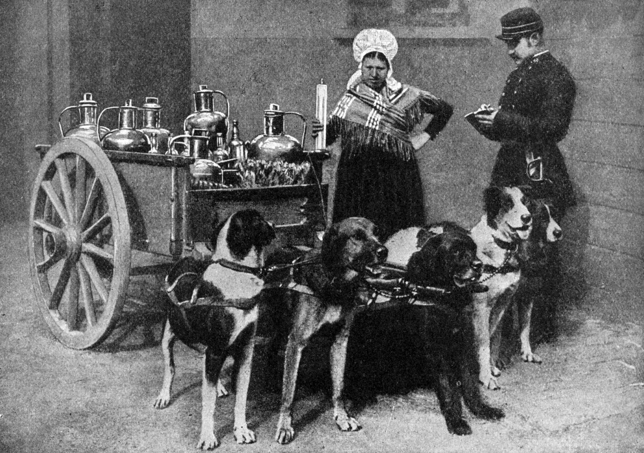 Dojička s vládním inspektorem, Belgie, 1922 od Unbekannt
