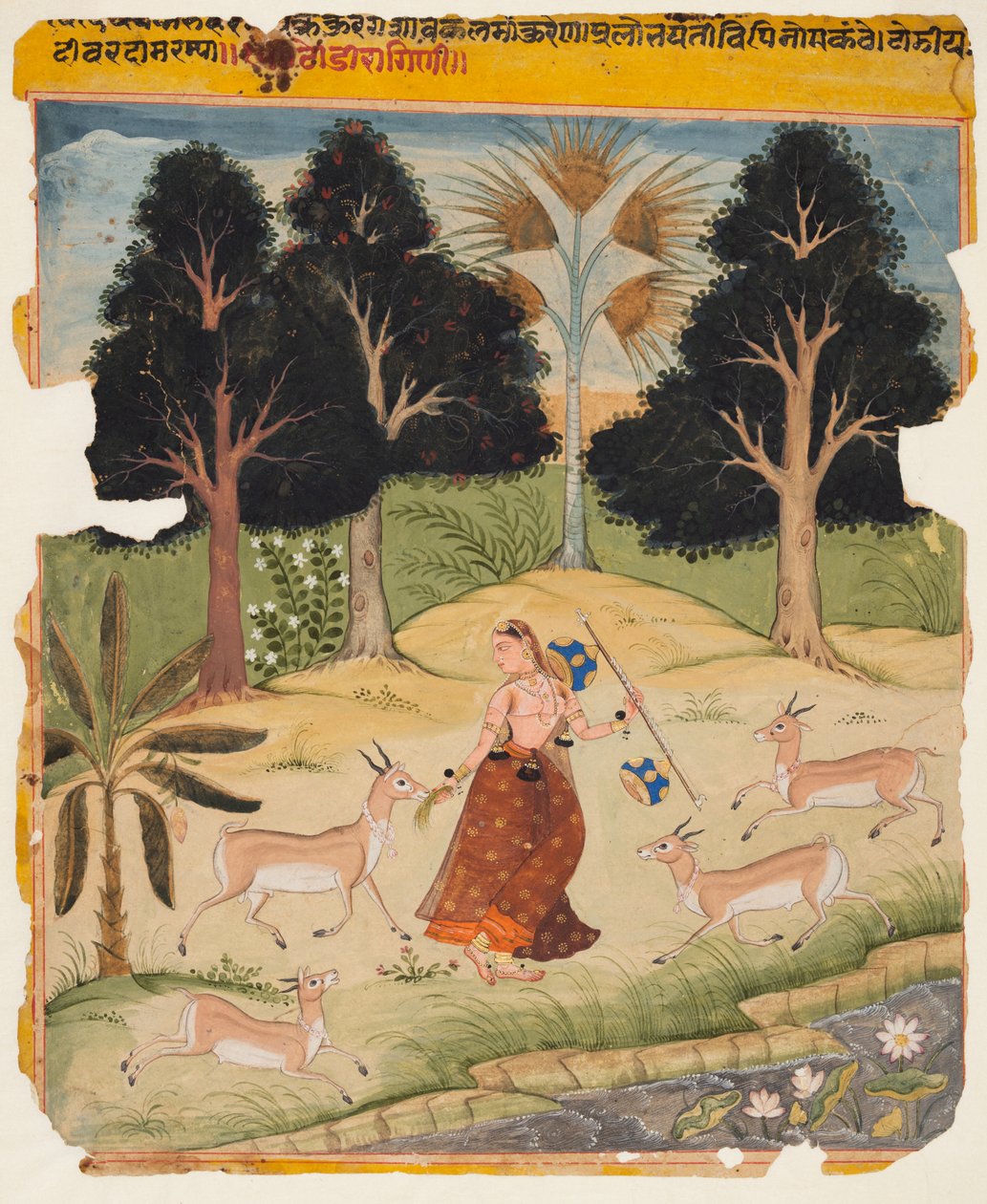 Stránka z rukopisu Ragamala: Todi Ragini, c. 1625. od Unbekannt