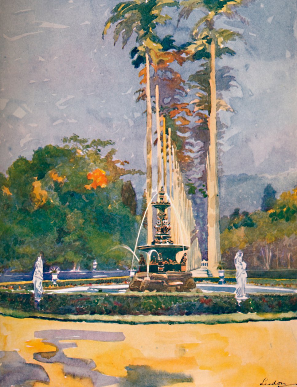 Část Avenue of Royal Palms, Botanická zahrada, 1914 od Unbekannt