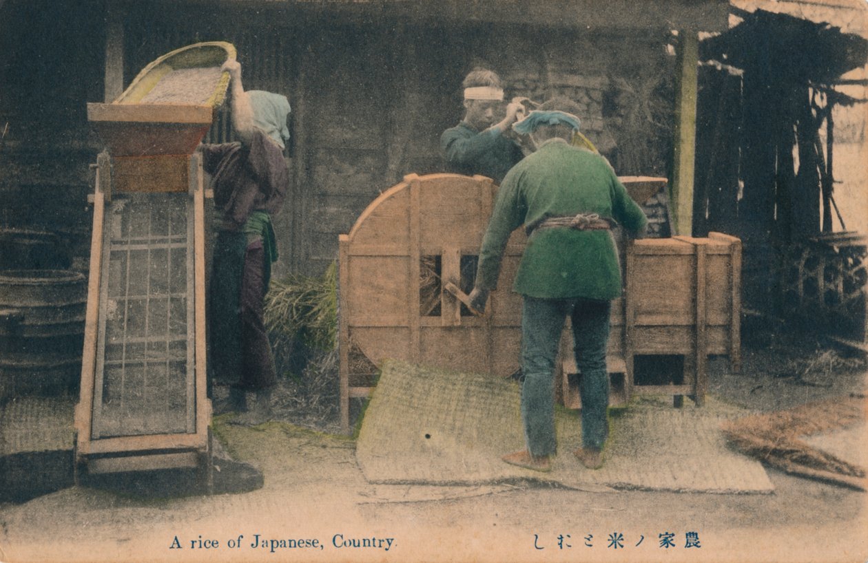 Japonská rýže, Country, c1910. od Unbekannt