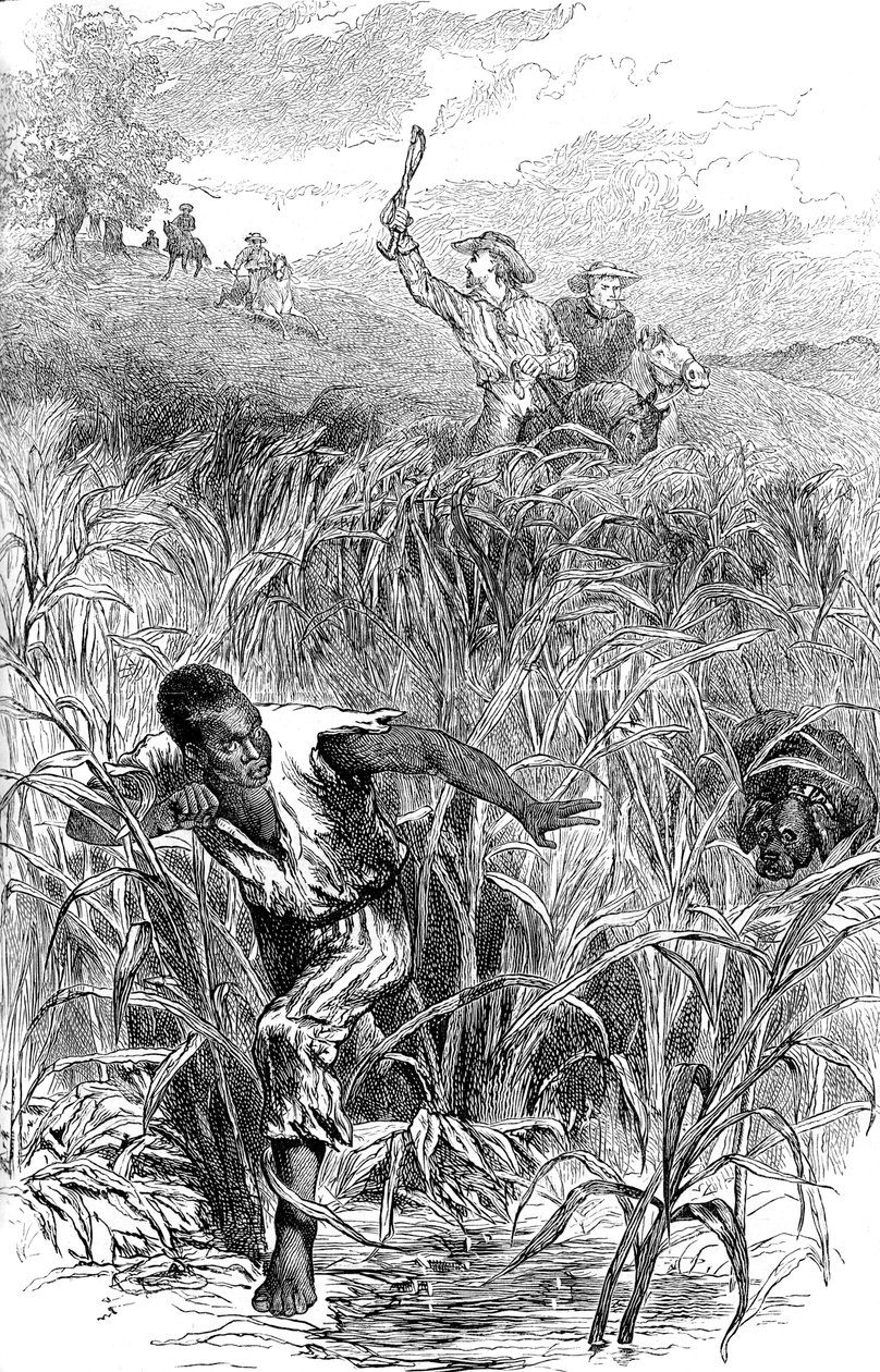Lov na otroky, USA, polovina 19. století c1880 od Unbekannt