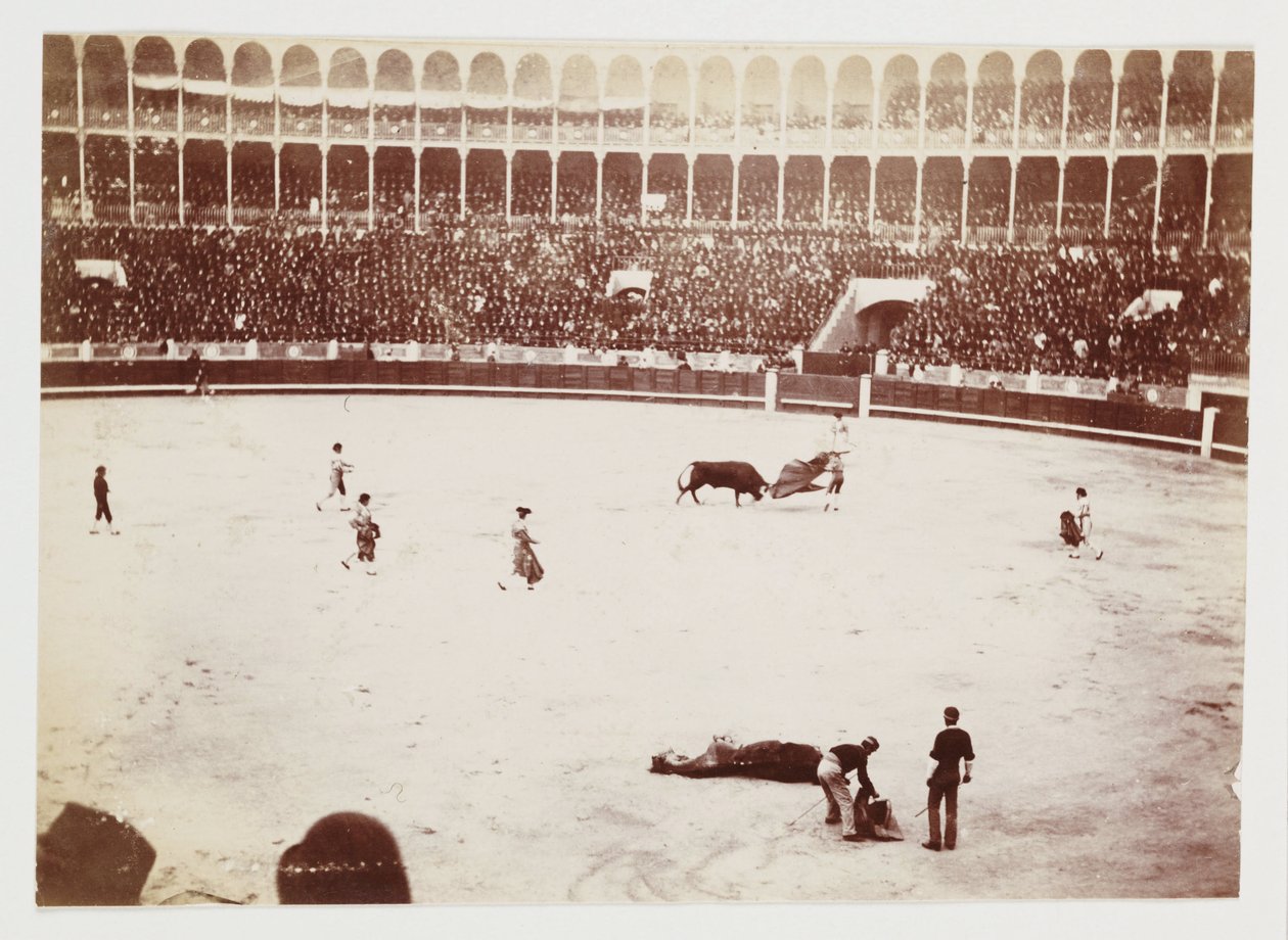 Snímek býčího zápasu před obrovským davem v Las Ventas del Espiritu Santo v Madridu, pořízený neznámým fotografem asi v roce 1930 od Unbekannt