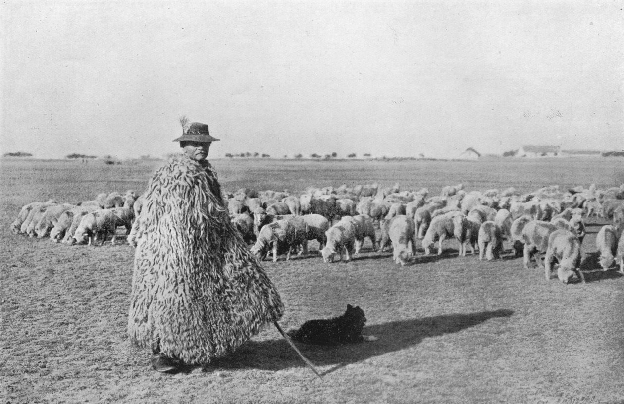 Typický pastýř a jeho stádo na pláních Maďarska, 1915 od Unbekannt