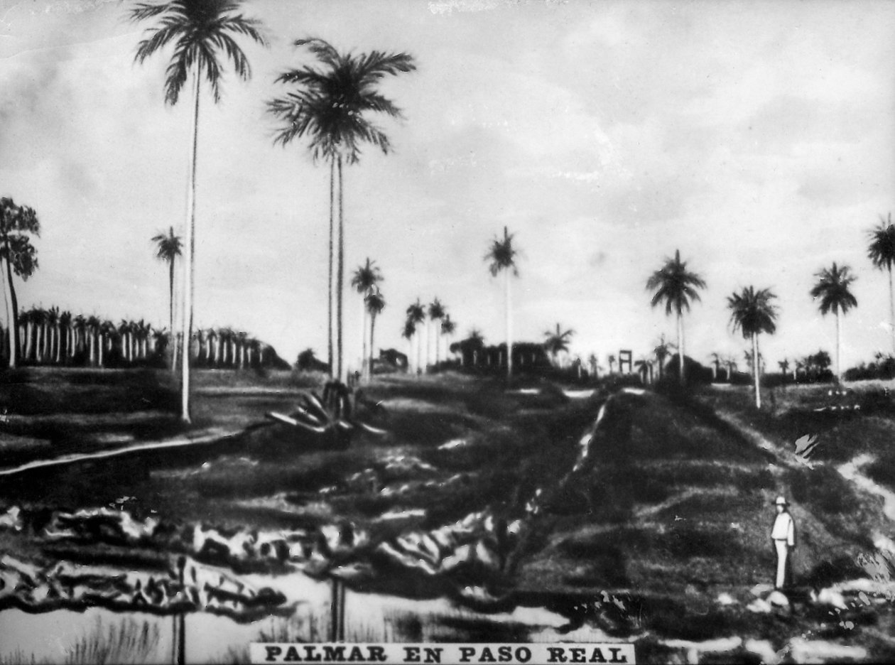 Accion of PasoReal, 1896, 20. léta 20. století od Unbekannt
