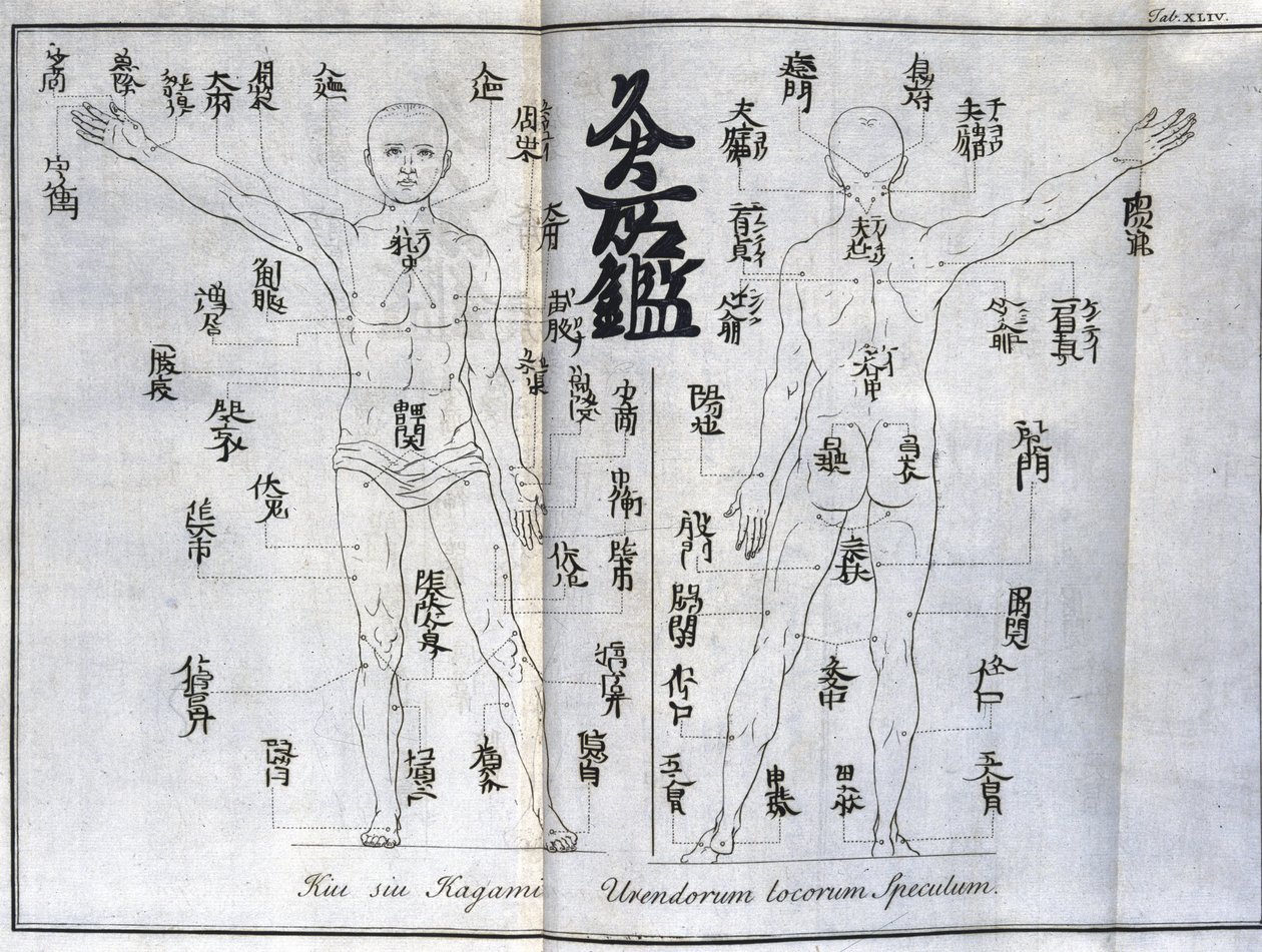 Akupunktura: mapa lidského těla s vyznačením bodů moxování, Japonsko (graf týkající se moxy, c 1690) od Unbekannt