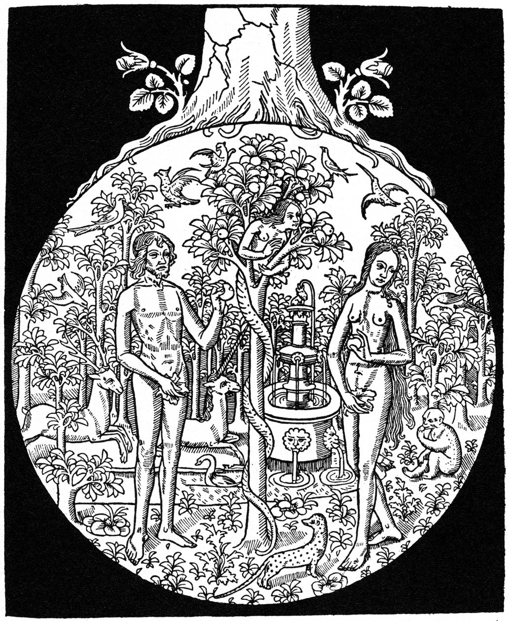 Adam a Eva, 1505 1964 od Unbekannt