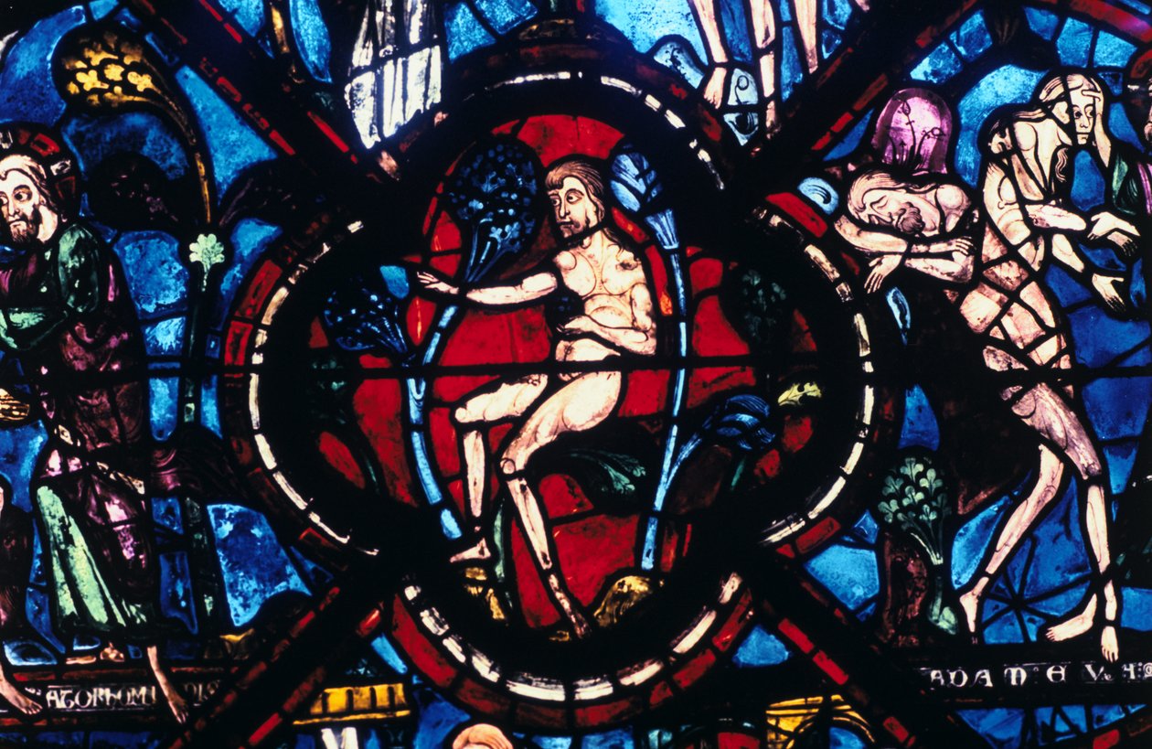Adam in Eden, vitráže, katedrála v Chartres, Francie, 1205-1215 od Unbekannt
