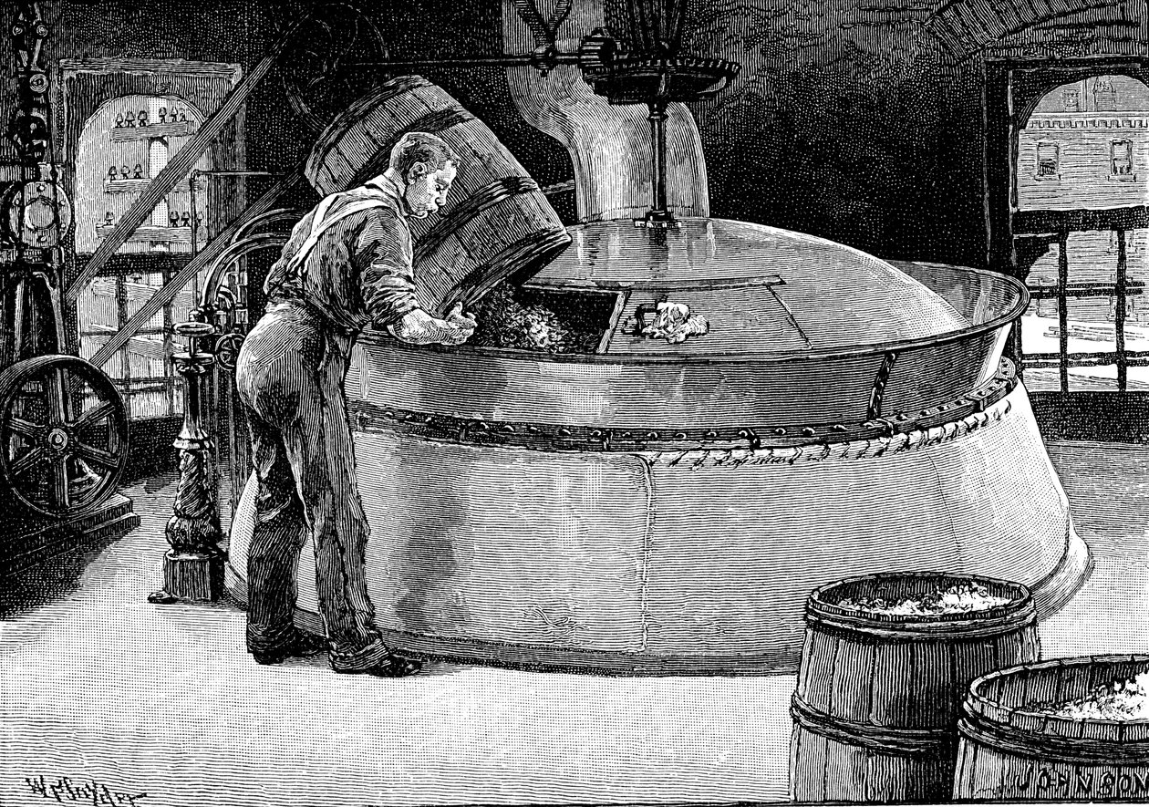 Přidávání chmele do vařícího piva v americkém pivovaru, 1885 od Unbekannt