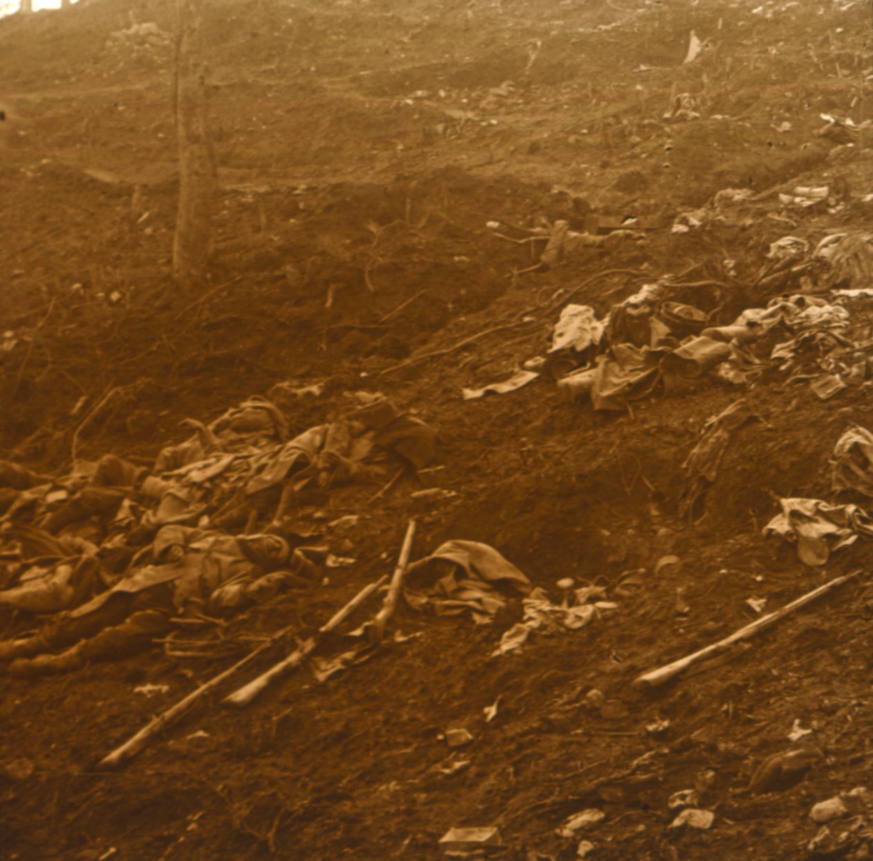 Po útoku, Les Éparges, severní Francie, 1915. od Unbekannt