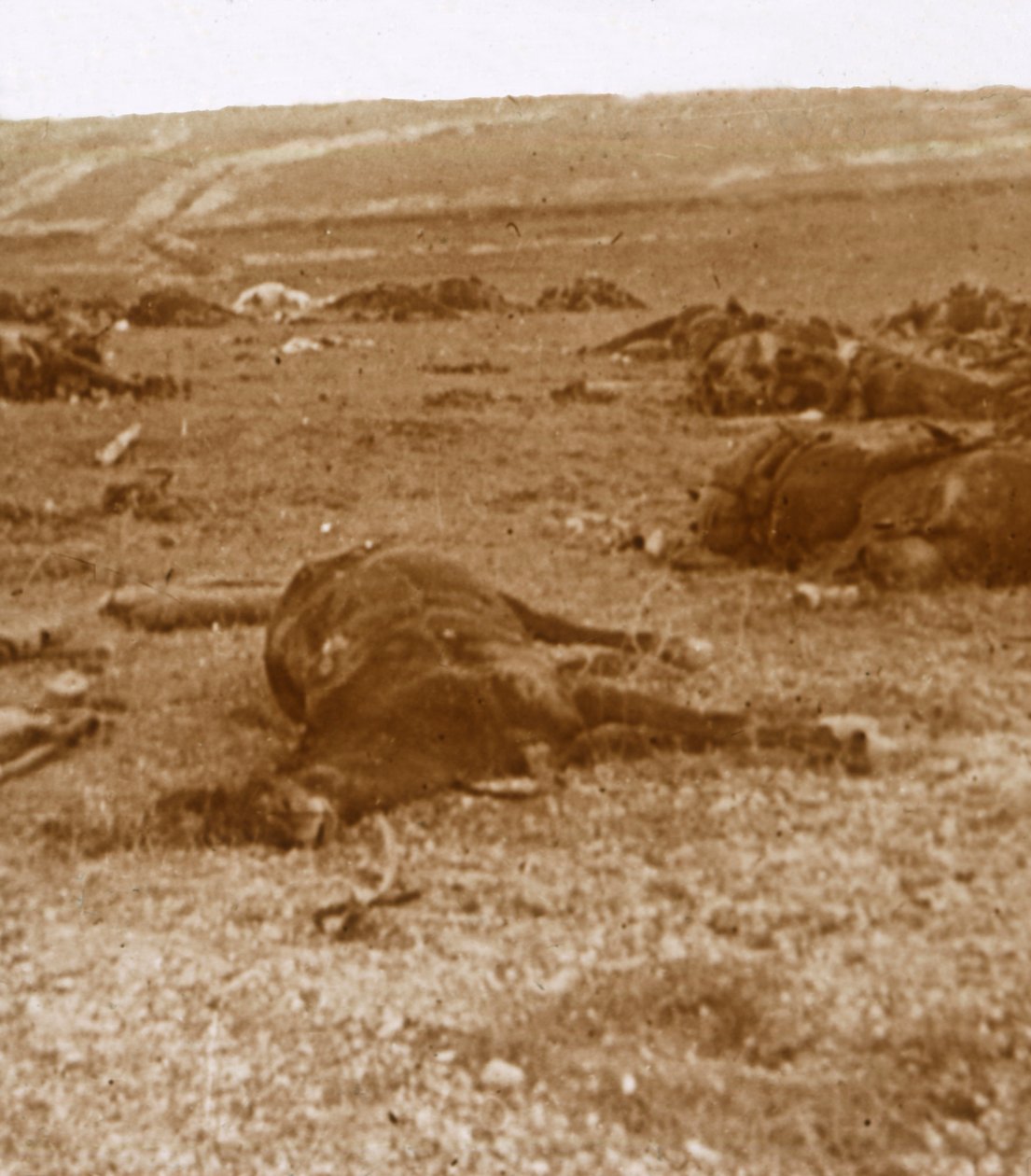 Po útoku, Beauséjour, severní Francie, c1914-c1918 od Unbekannt