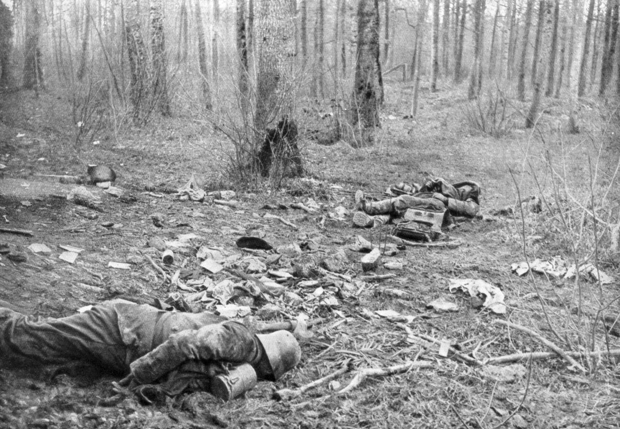 Následky bojů v parku Plessis-de-Roye, Pikardie, Francie, 30. března 1918 od Unbekannt