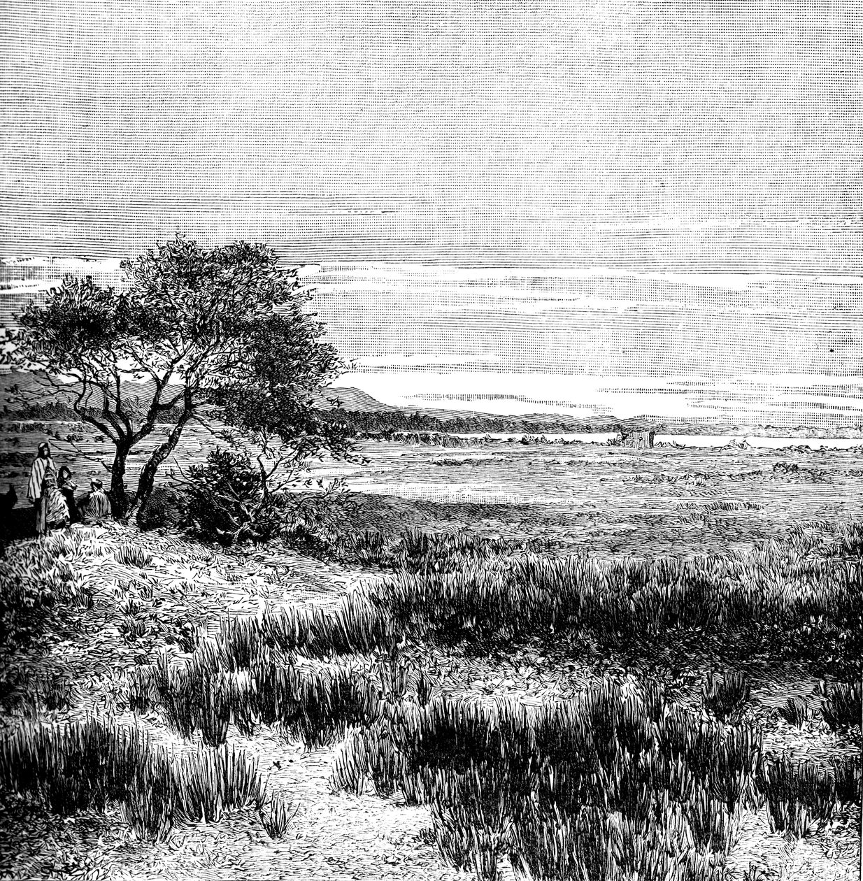 Agha Valley, Central Pampa, Argentina, 1895 od Unbekannt