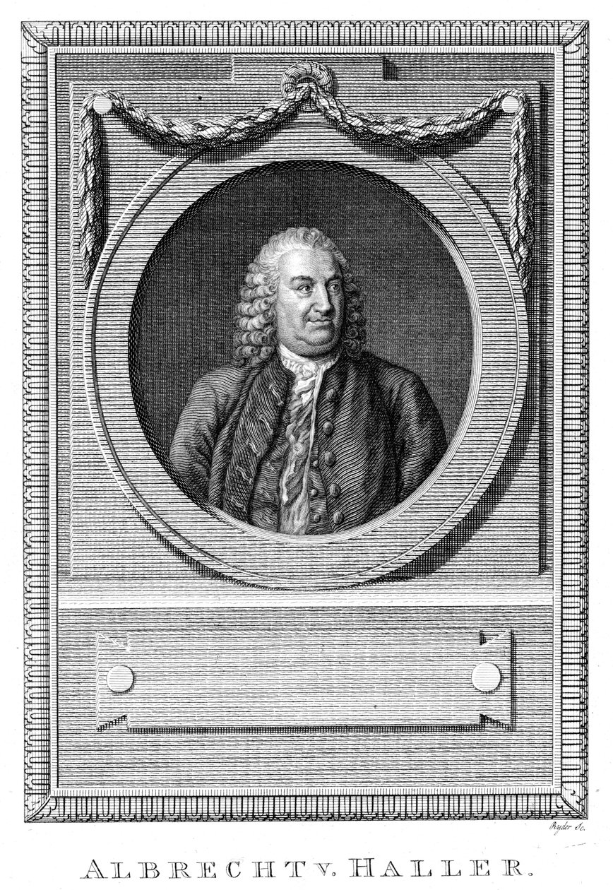 Albrecht von Haller, švýcarský lékař a vědec, c1770 c1780 od Unbekannt
