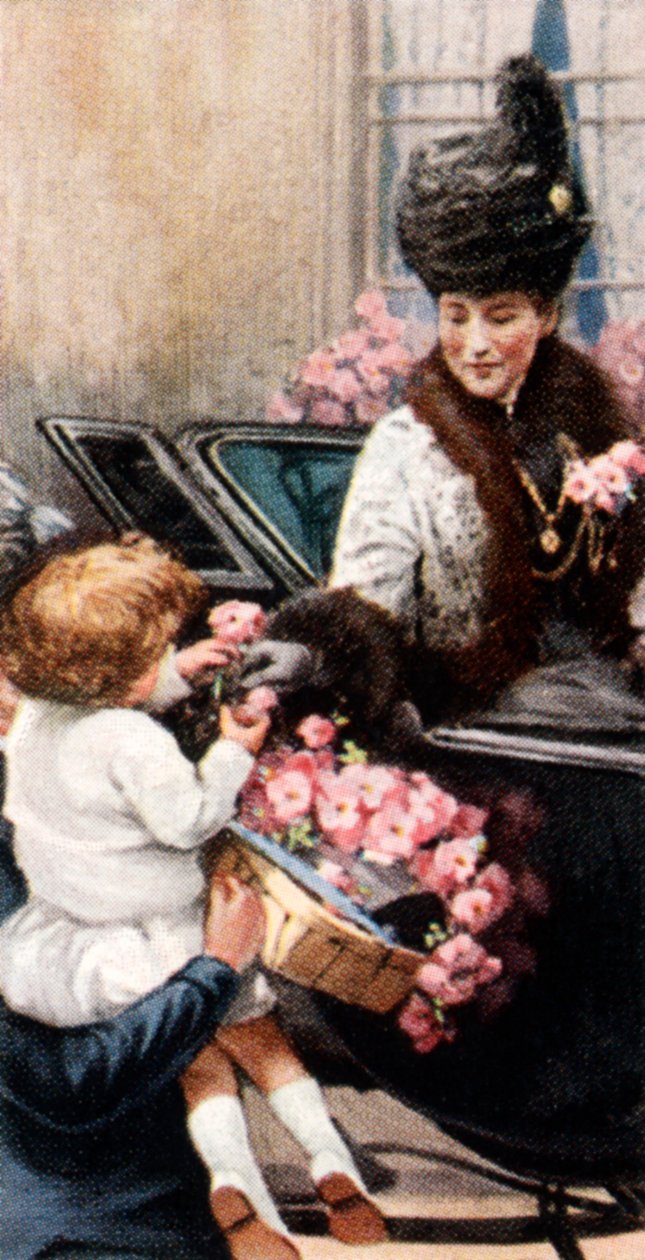 Den Alexandry Rose, c1935 od Unbekannt