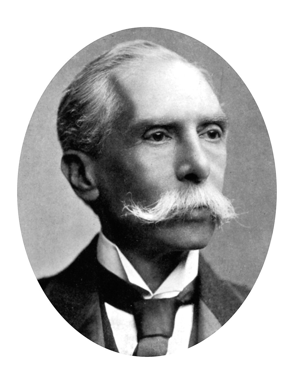 Alfred Austin, anglický básník, c1905 od Unbekannt