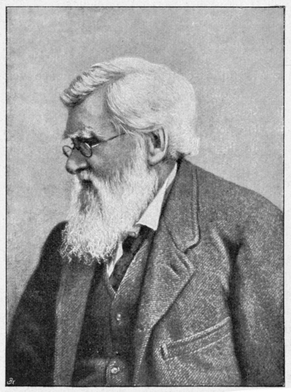 Alfred Russell Wallace, velšský přírodovědec, c1895 od Unbekannt