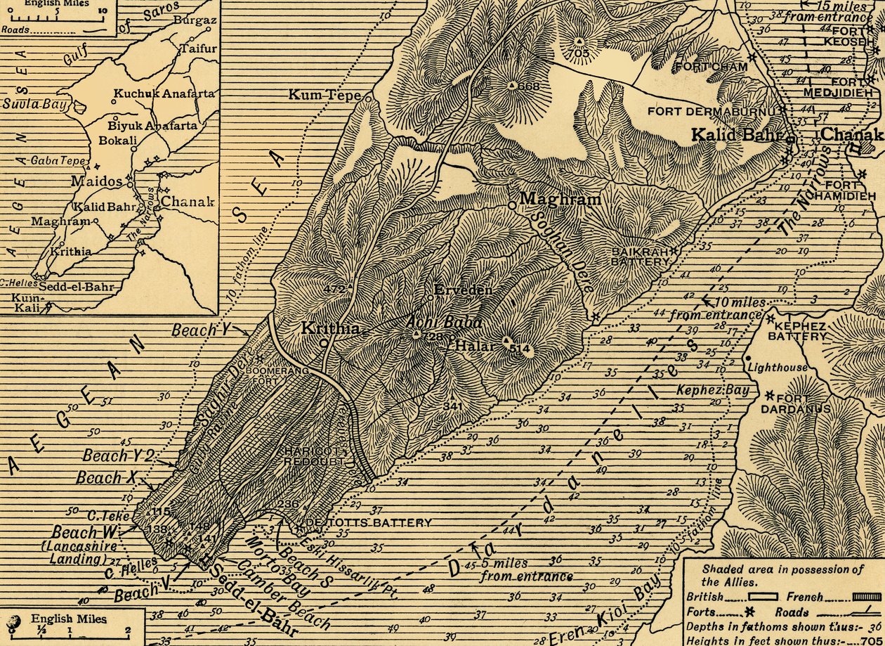 Spojenecké pozice na poloostrově Gallipoli v Turecku, první světová válka, červenec 1915, c1920. od Unbekannt