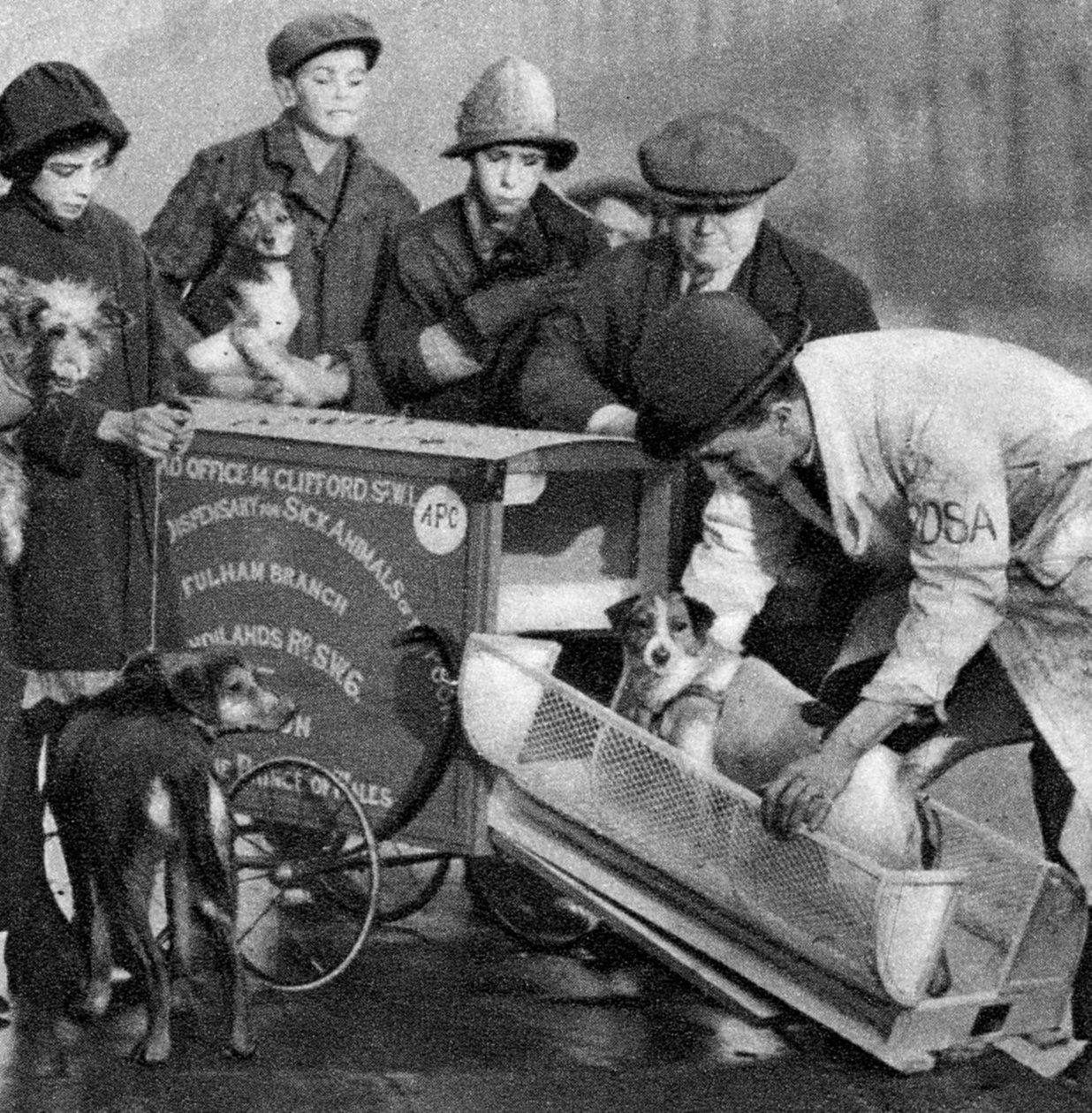 Ambulance výdejny pro nemocná zvířata chudých, Londýn, 1926-1927 od Unbekannt