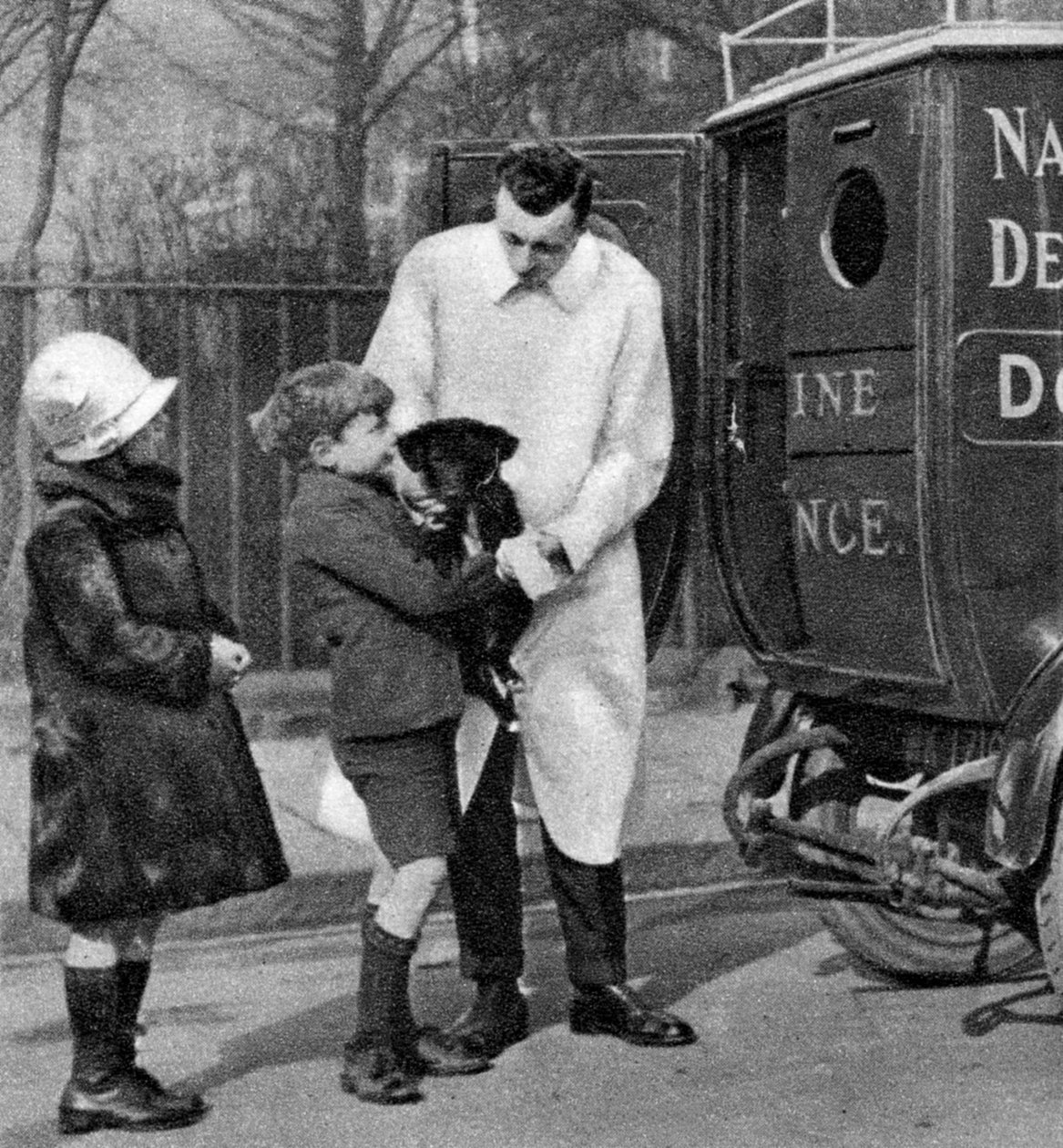 Ambulance National Canine Defense League, Londýn, 1926-1927 od Unbekannt