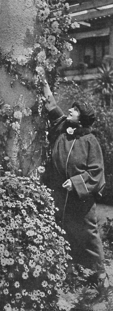 Amelita Galli-Curci - Velká diva sbírá růže, její oblíbené květiny, c1925 od Unbekannt