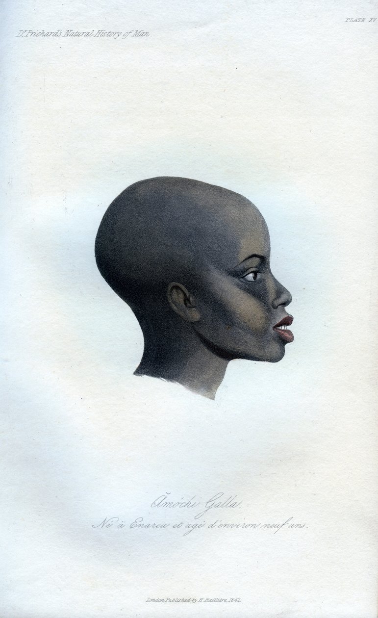 Amochi Galla, portrét Galla, 1848 od Unbekannt