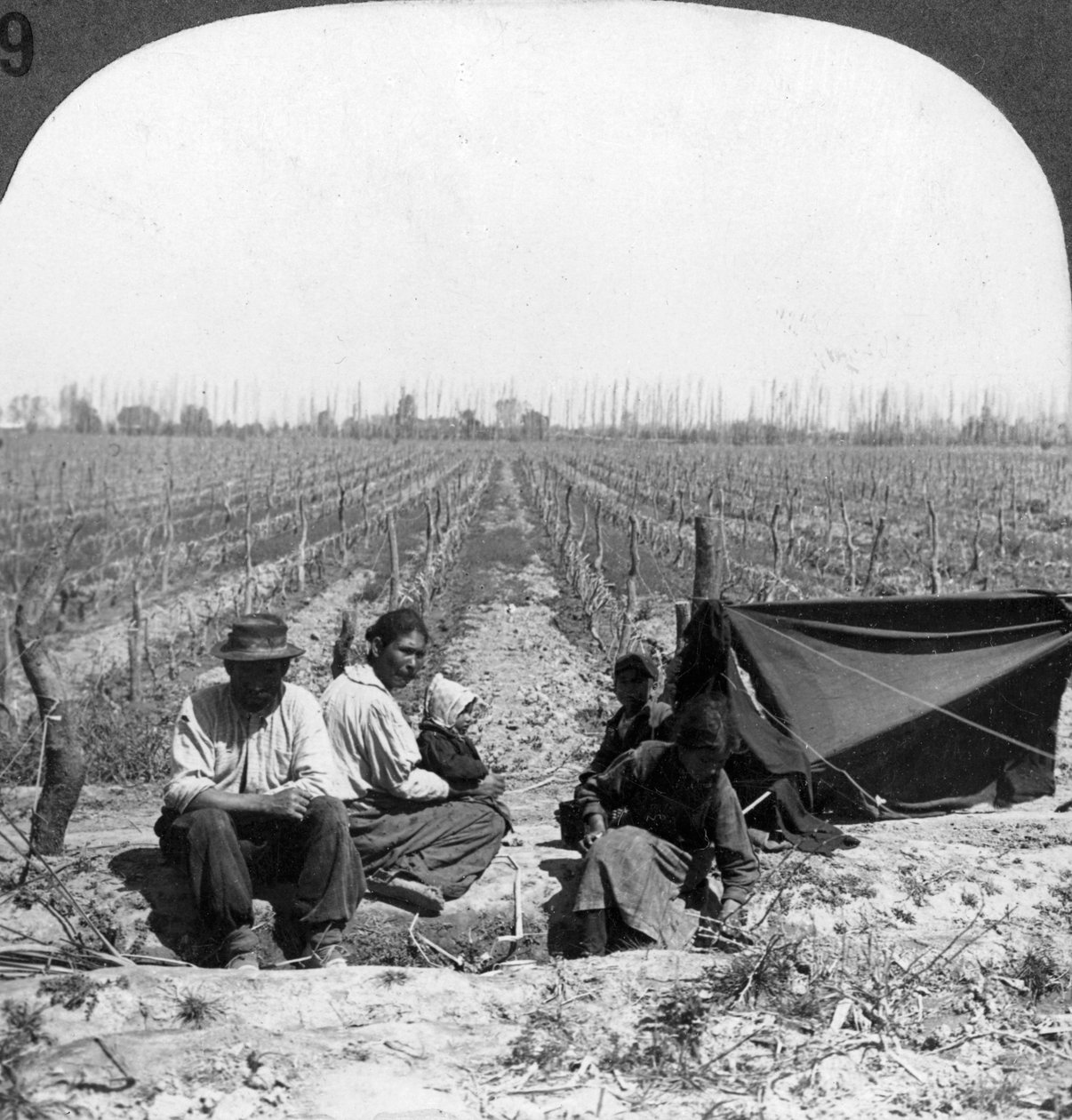 Italský osadník a jeho rodina, Mendoza, Argentina, 20. století od Unbekannt