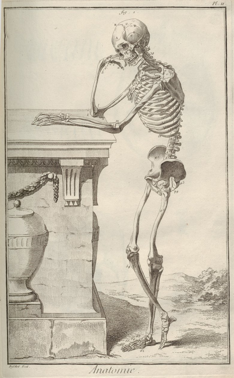 Anatomie. Z encyklopedie Denise Diderota a Jean Le Rond d