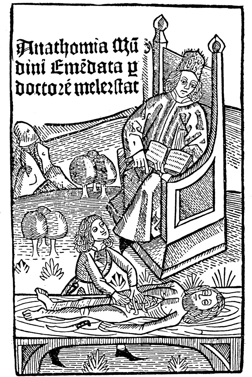 Ukázka anatomie, 1493 od Unbekannt