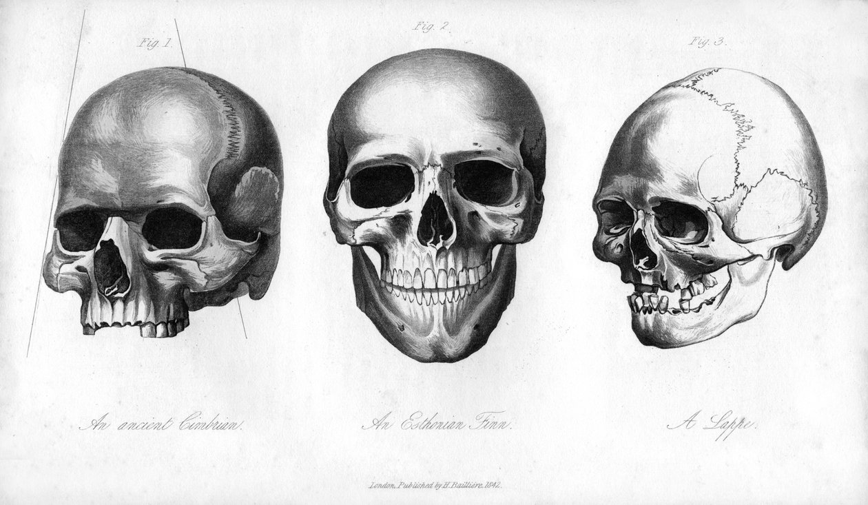 Starověká Cimbrian, Esthonian Finn, Lappe, 1848 od Unbekannt