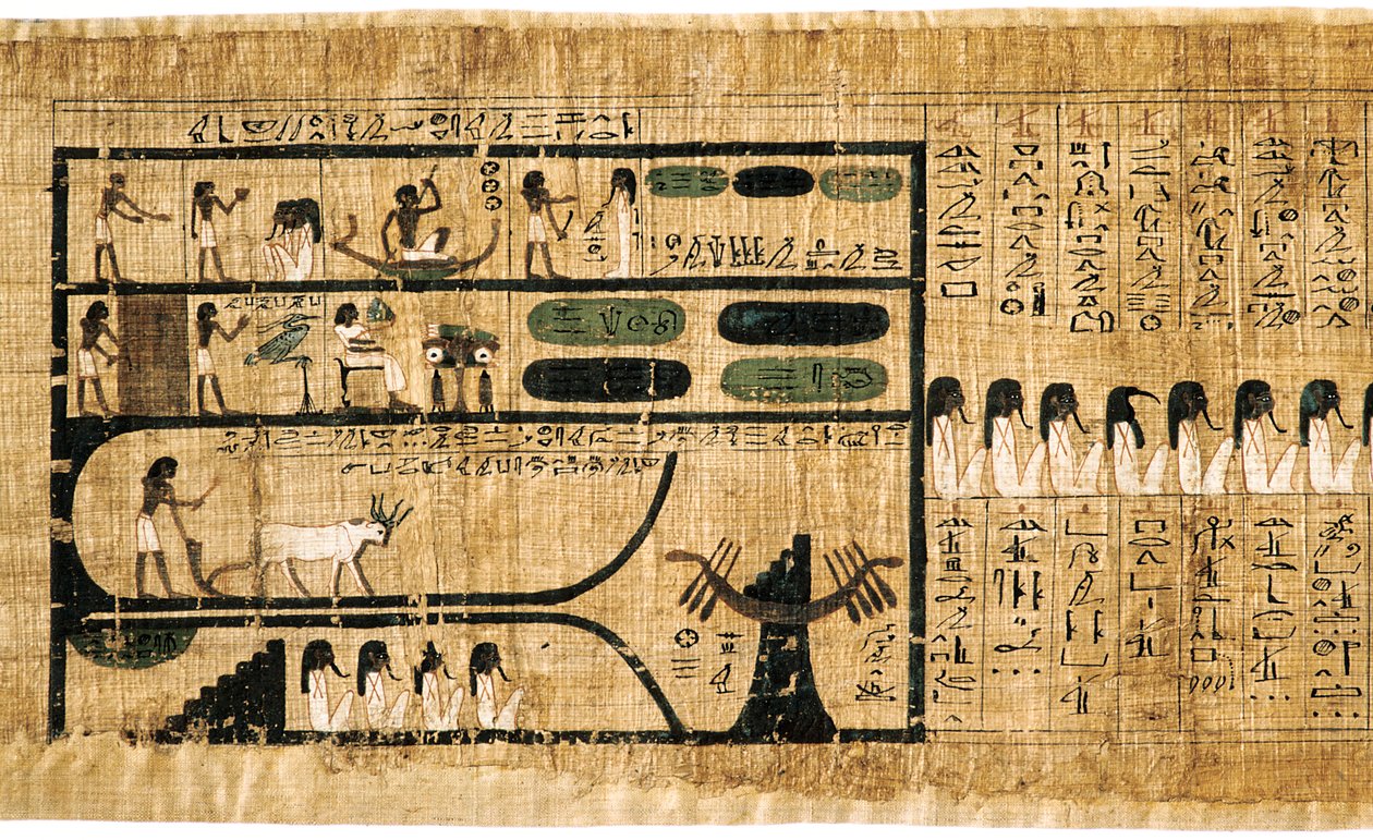 Staroegyptská kniha mrtvých na papyru zobrazující psané hieroglyfy od Unbekannt