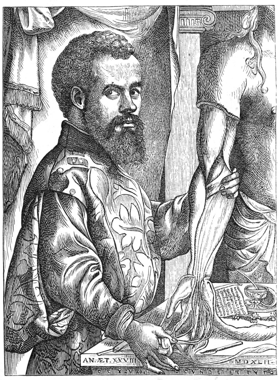 Andreas Vesalius, vlámský anatom ze 16. století od Unbekannt