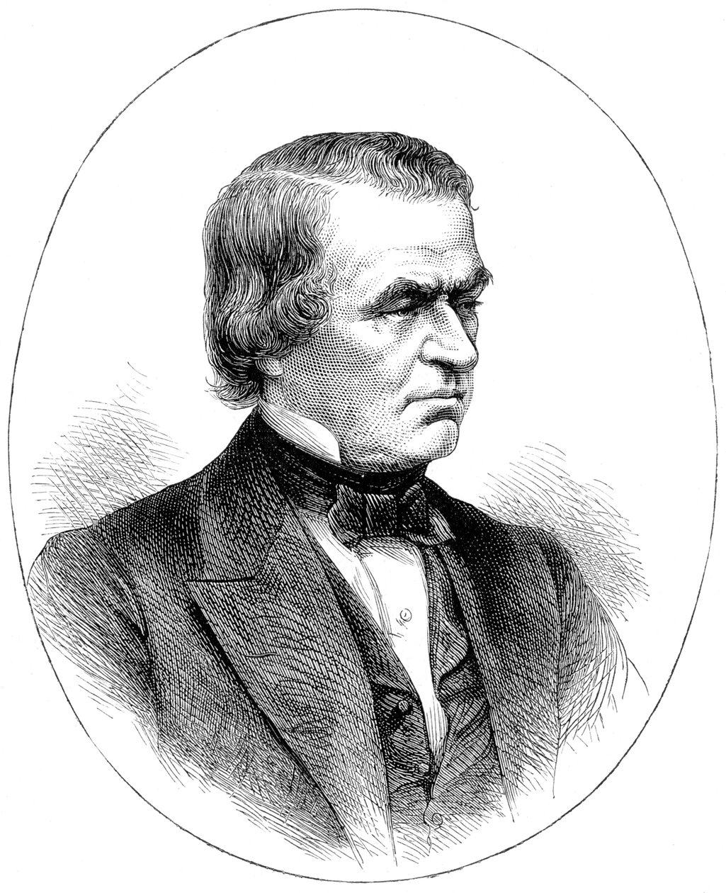 Andrew Johnson, 16. prezident Spojených států, c1880 od Unbekannt